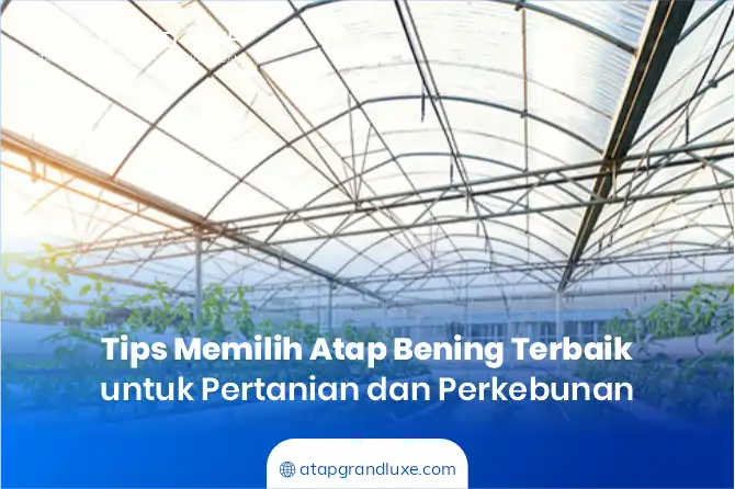 Tips Memilih Atap Bening Terbaik untuk Pertanian dan Perkebunan