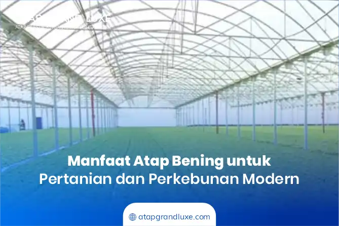 Manfaat Atap Bening untuk Pertanian dan Perkebunan Modern