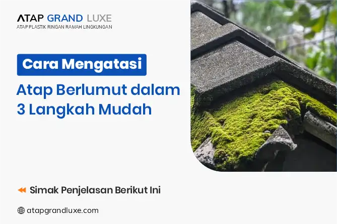 Cara Mengatasi Atap Berlumut dalam 3 Langkah Mudah