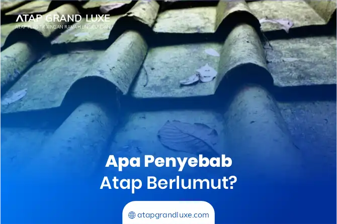 Apa Penyebab Atap Berlumut?