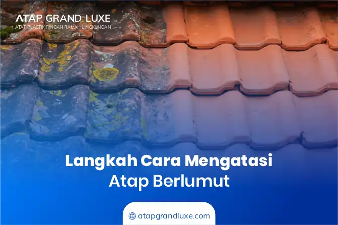3 Langkah Cara Mengatasi Atap Berlumut