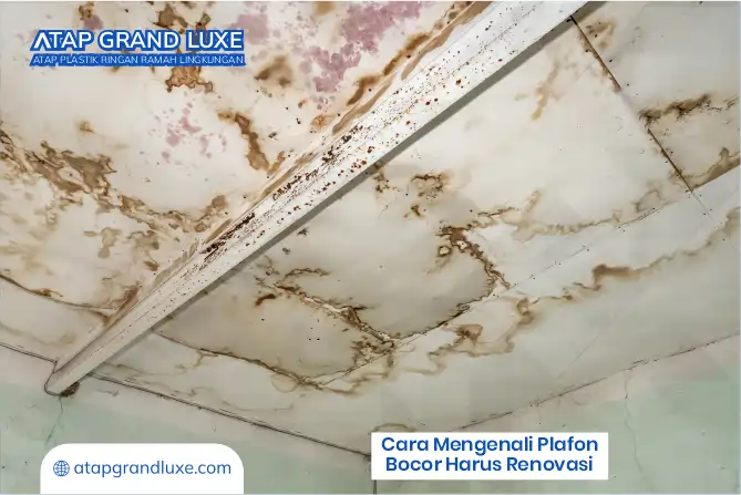 Cara Mengenali Plafon Bocor Harus Renovasi
